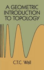 Geometric Introduction to Topology