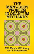 ManyBody Problem in Quantum Mechanics