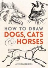 How to Draw Dogs Cats  Horses