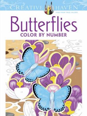 Butterflies Color by Number Coloring by Jan Sovak