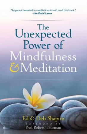 The Unexpected Power Of Mindfulness And Meditation by Ed Shapiro