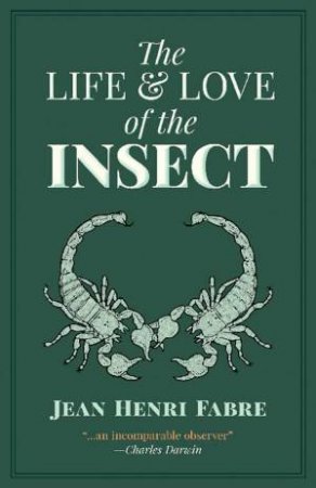 Life And Love Of The Insect by Jean Henri Fabre