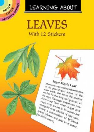 Learning About Leaves: With 12 Stickers by Dot Barlowe