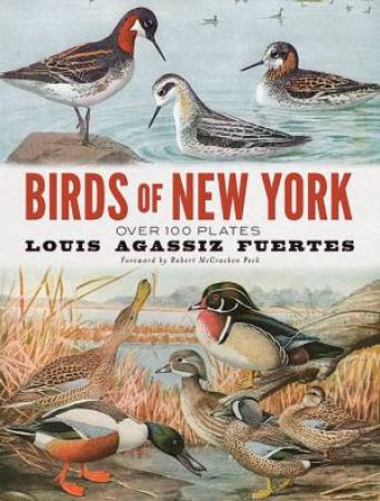 Birds Of New York: Over 100 Plates by Louis Agassiz Fuertes