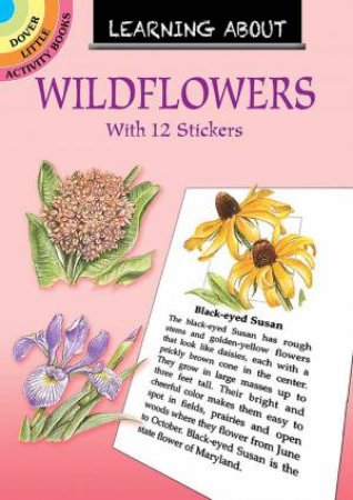 Learning About Wildflowers by Dot Barlowe