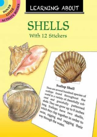 Learning About Seashells by Sy Barlowe