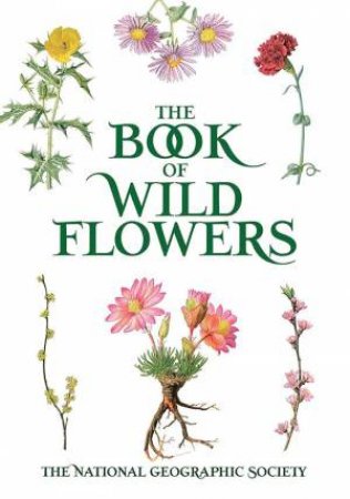 The Book Of Wild Flowers by Various