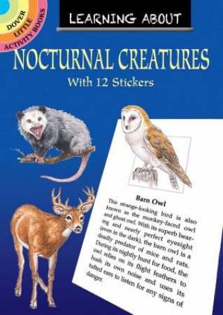 Learning About Nocturnal Creatures by Sy Barlowe