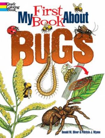 My First Book About Bugs by PATRICIA J. WYNNE