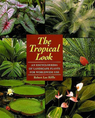 Tropical Look: An Encyclopedia Of Landscape Plants by Robert Riffle