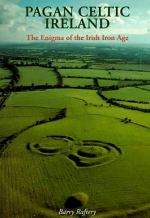 Pagan Celtic Ireland by Barry Raftery