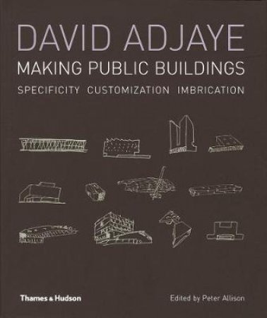 David Adjaye: Making Public Buildings by Peter Allison