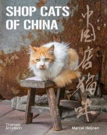 Shop Cats Of China by Marcel Heijnen