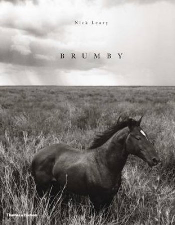 Brumby by Nick Leary