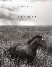 Brumby