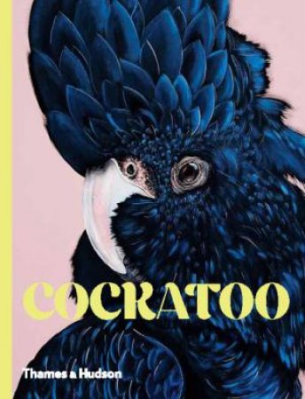 Cockatoo by Various