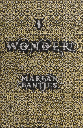 I Wonder by Marian Bantjes