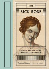 Sick Rose Disease in the Golden Age of Medical Illustration