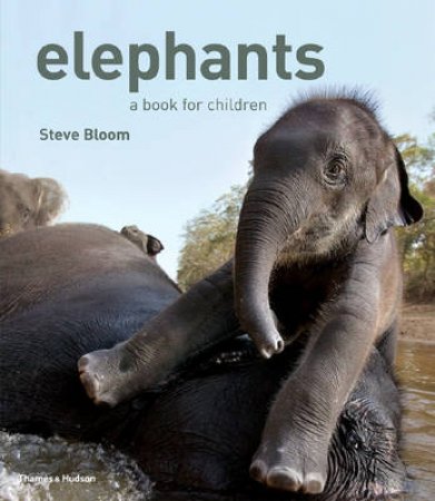 Elephants: A Book for Children by Steve Bloom