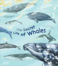 The Secret Life Of Whales