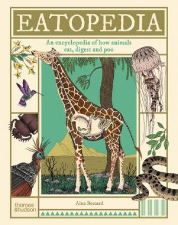 Eatopedia by Aina Bestard