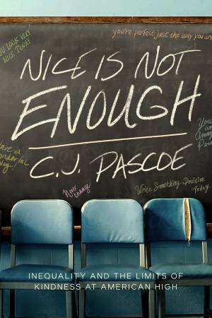 Nice Is Not Enough by C. J. Pascoe