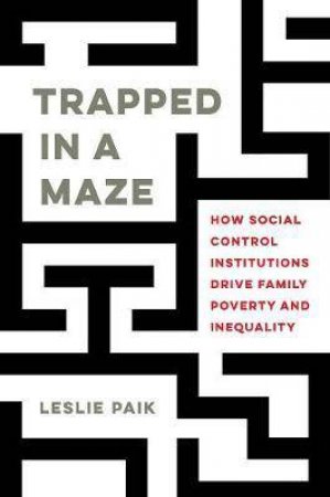 Trapped In A Maze by Leslie Paik