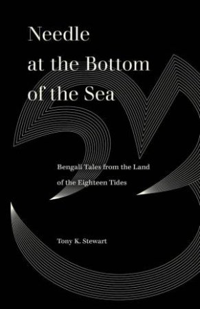 Needle at the Bottom of the Sea by Tony K. Stewart & Ayesha A. Irani