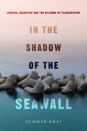 In the Shadow of the Seawall by Summer Gray