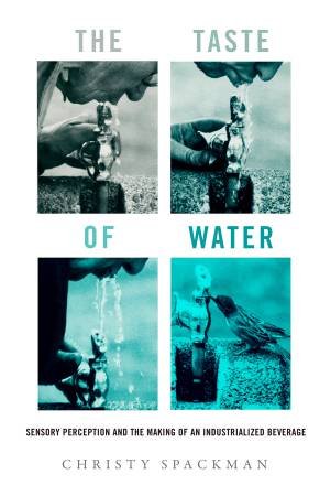 The Taste of Water by Christy Spackman