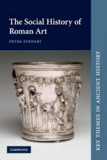 The Social History of Roman Art