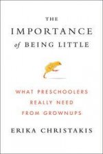 The Importance of Being Little What Preschoolers Really Need from Grownups