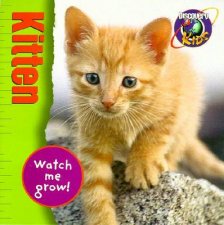 Watch Me Grow Kitten