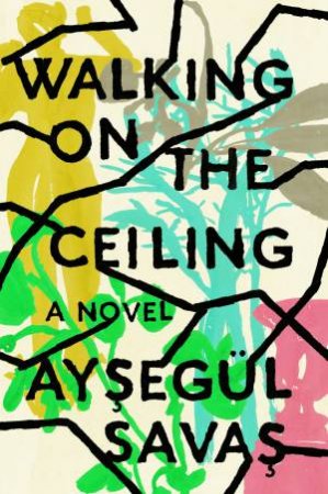 Walking On The Ceiling by Aysegul Savas