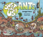 Just Like Us Ants