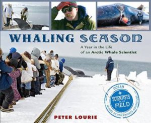 Whaling Season: A Year in the Life of an Arctic Whale Scientist by LOURIE PETER