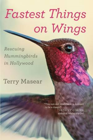 Fastest Things on Wings by TERRY MASEAR