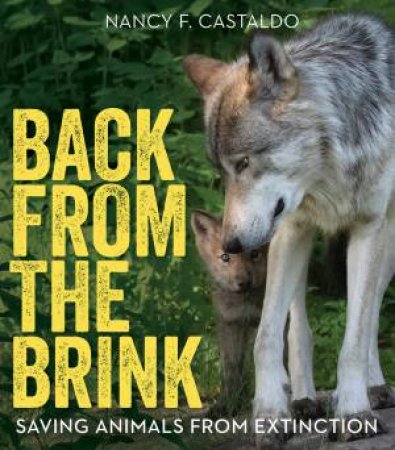 Back From The Brink by Nancy Castaldo