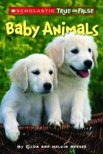 Scholastic True Or False Baby Animals