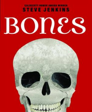 Bones Skeletons and How They Work by Steve Jenkins