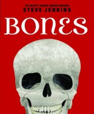 Bones Skeletons and How They Work