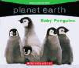 Planet Earth: Baby Penguins by Scholastic