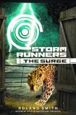  Storm Runners