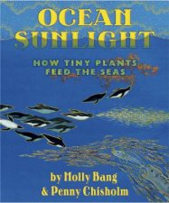 Ocean Sunlight How Plants Feed the Sea