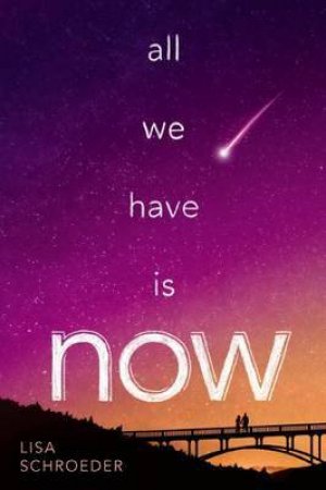 All We Have Is Now by Lisa Schroeder