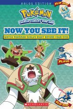 Pokemon Now You See It Kalos Handbook