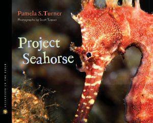 Project Seahorse by TURNER PAMELA S