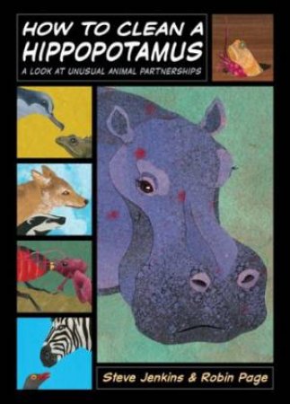 How to Clean a Hippopotamus: A Look at Unusual Animal Partnerships by JENKINS STEVE & PAGE ROBIN