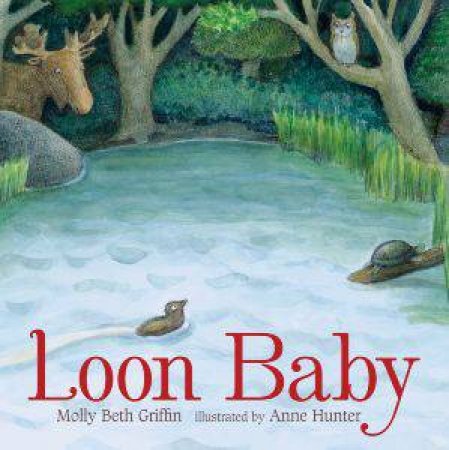 Loon Baby by GRIFFIN MOLLY BETH