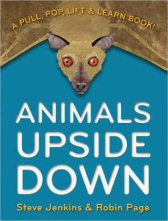 Animals Upside Down: A Pull, Pop, Lift and Learn Book! by PAGE ROBIN JENKINS STEVE